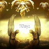 7 Dayz - The Source Meets The Circus