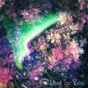 Chace Pettinelli - Lost in You