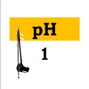 pH music record - Yesterday Once More (Erhu)
