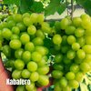Uun - Kabalero