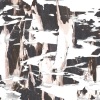 Bostro Pesopeo - Ten Years Earlier