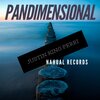 Justin King Perri - Pandimensional