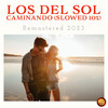 Los Del Sol - Caminando (Slowed 10 %)