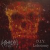 Dødsriket - D.I.Y. Lobotomy (Explicit)