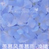丽芝 - 羡慕风羡慕雨