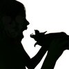 the remains - My Pet Is A Bat