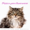 Relajante Jazz Instrumental Café、Animales de piano、Biblioteca de Música Para Mascotas《Susurros Felinos》[MP3/LRC]