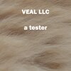 Veal LLC - That I Am