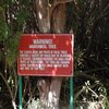 JRB - The Manchineel (Explicit)