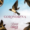 Irany、David - La Golondrina