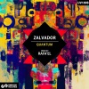 Zalvador - Quantum (Rafa'EL Remix)