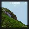 野洵 - 11