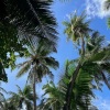 暮染烟岚、快快不会丢、DJ阿布、DJ阿智 - 全口水旋律Vol.1