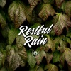 Asmr - Forest Rain