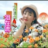 李芊墨 - 心在滴血泪在流
