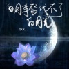 李发发 - 白月季代替不了白月光