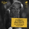 Loveclub、Domingo +、Luciano Elvira - Firmament (Luciano Elvira Remix)