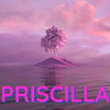 The Lofi Girl - Priscilla