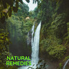 The Lofi Girl - Natural Remedies
