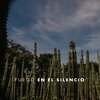 Fuego - En el Silencio
