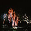Lil Annex、SKOTSKR、DNFJAY、Mesq - Weeping Willow (feat. mesq, DNFJAY & SKOTSKR)(Explicit)