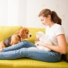 Ambient Music Collective、Ambient Sample Library、Pet Music Therapy - Fur Cuddles in Melody