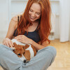 Smooth Chill Playlist、Ambient 11、Dog Calming Music - Leash Jingles in Excitement