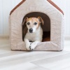 Piano Relaxation、Piano Relaxation Music Masters、Relaxing Dog Music - Raindrops Dance for Wagging Tails