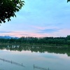 琪琪 - 城门