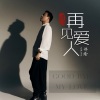 祁隆 - 再见爱人