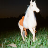 Nicole Millar - ridin’. prod by Kilter