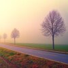 Uberto Pieroni - Nella nebbia