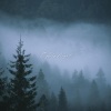 Simply Worship、Diana Trout、Austin Ludwig - O Holy Night