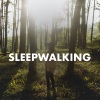 Empire of the Sun - Walking On A Dream