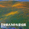 刘云会 - 把看不起的人看起是一种修养