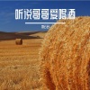刘云会 - 本想叫你做靠山