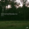 Agua - Warrnambool Kookaburras