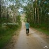 Agua - Lunchtime Birds
