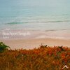 Agua - Beachport Seagulls