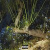 Sam Davies、RAKEEM - EsStrellao°☆⭑＊ (Explicit)