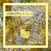 Floating Log - Placid Flow
