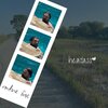 Routine Fuss - Headass