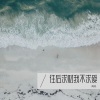 周琰《往后求财我不求爱》[MP3/LRC]