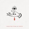 Carleton Stone - Fences