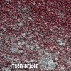 John Williams - Tsen Brider