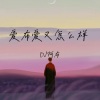 DJ阿布 - 爱不爱又怎么样