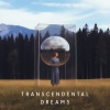 Astral Travel Sanctuary - Dreaming Visualization