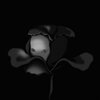 Process - Quiet Generation (Explicit)