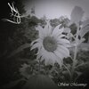 Skymning Ny - Silent Meanings