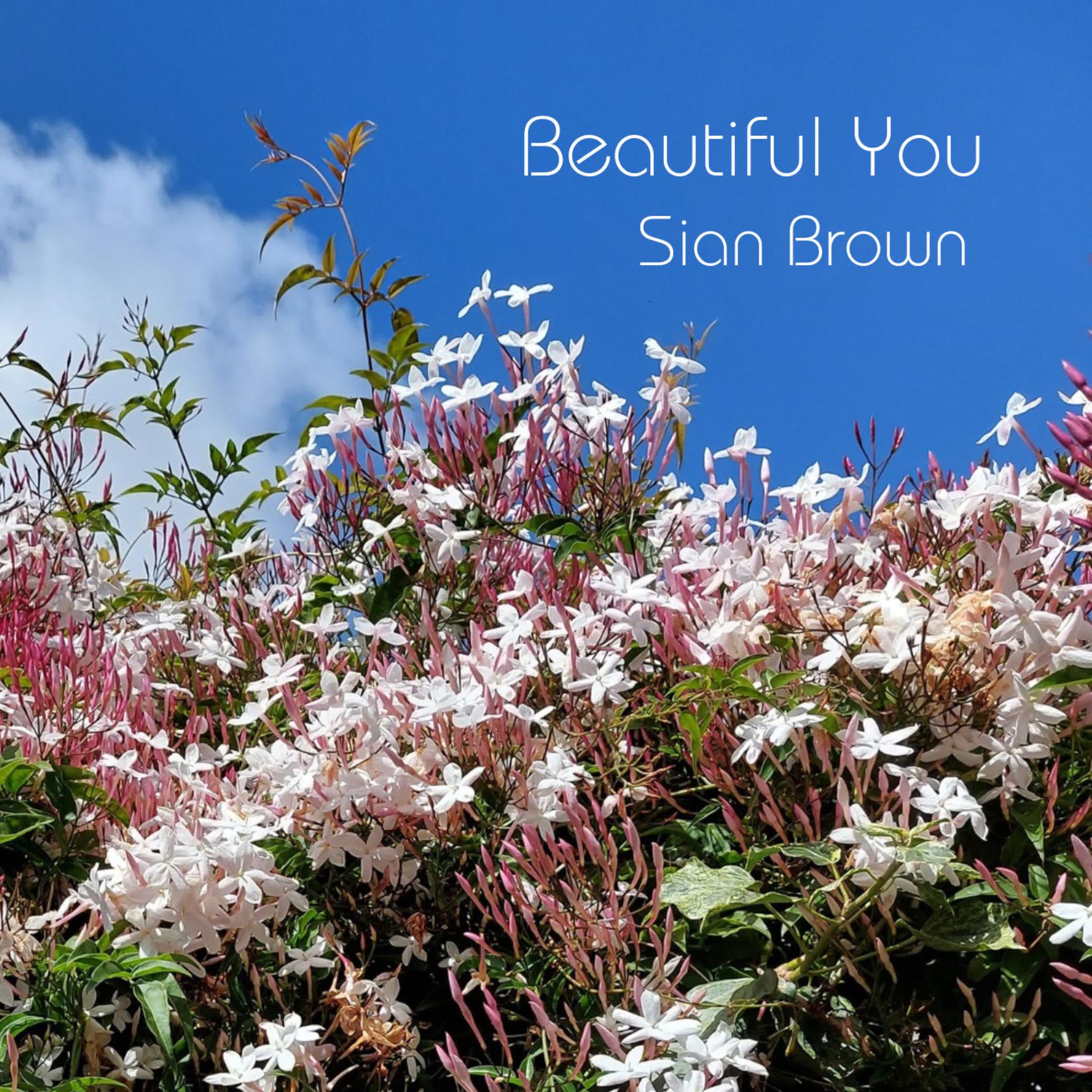 Siân Brown、Phillip Waldron、Michael Pignéguy - Beautiful You (with Michael Pignéguy & Phillip Waldron)